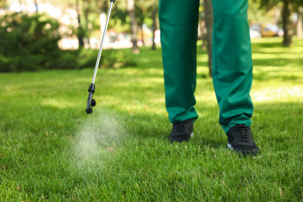 Trusted Jefferson Hills, PA Pest Control Experts
